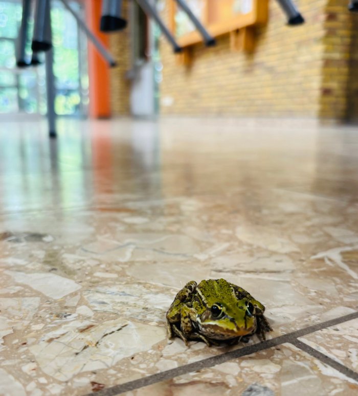 Tierischer Besuch